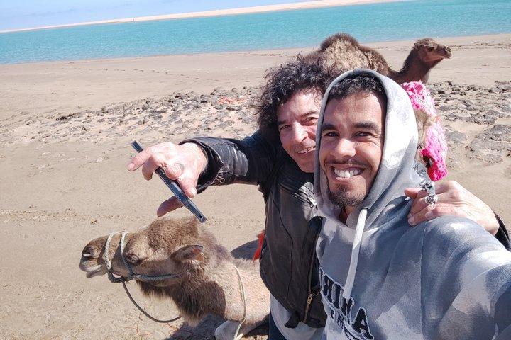 Camel Ride - Tangier & Asilah