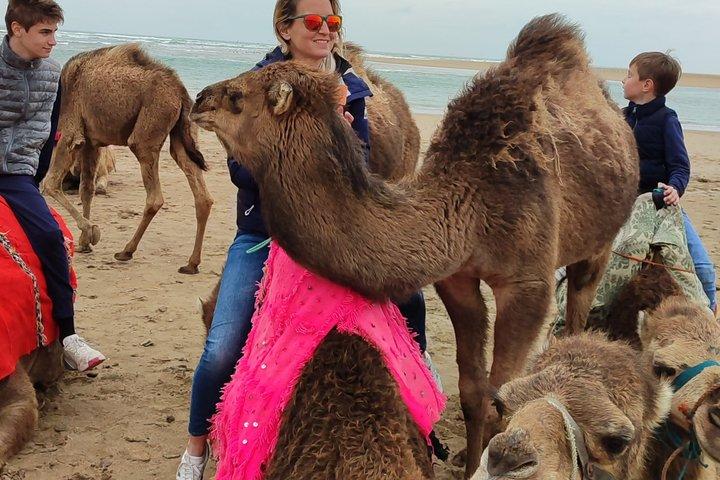 Camel Ride - Tangier & Asilah
