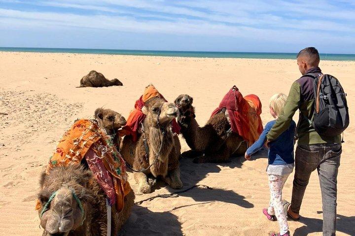 Camel Ride - Tangier & Asilah