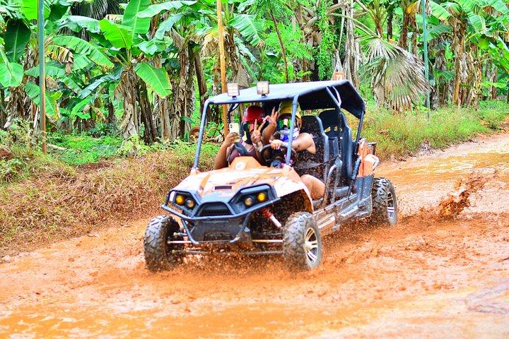 Buggies Macao Beach Tour and Taíno Cave Adventure
