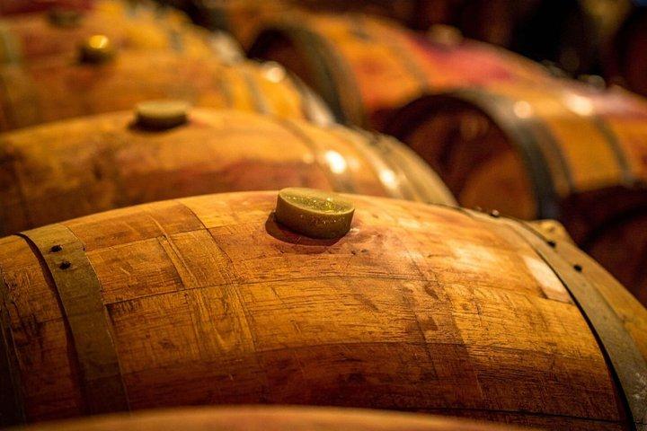 Legacy Luxury Experience på Bodegas Torres de Barcelona