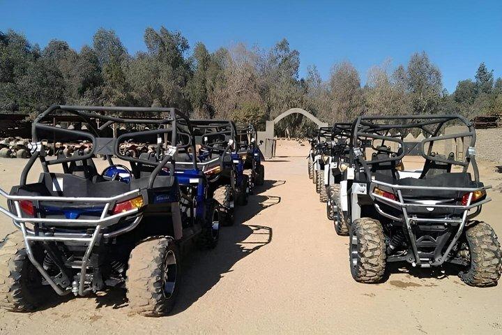Viaje en quad o buggy en safari por el desierto del Sinaí de Sharm El Sheikh