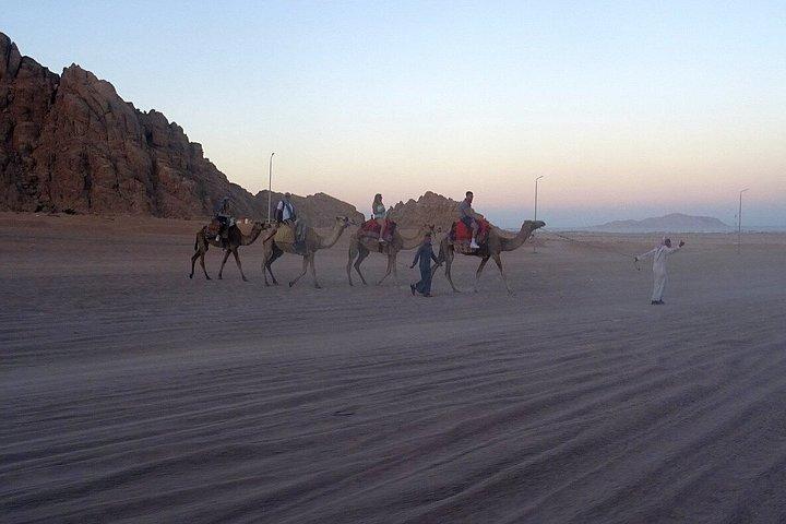 シャルム・エル・シェイクのシナイ砂漠でATVクワッドまたはバギーサファリ旅行