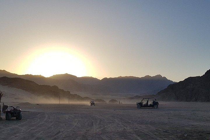 シャルム・エル・シェイクのシナイ砂漠でATVクワッドまたはバギーサファリ旅行