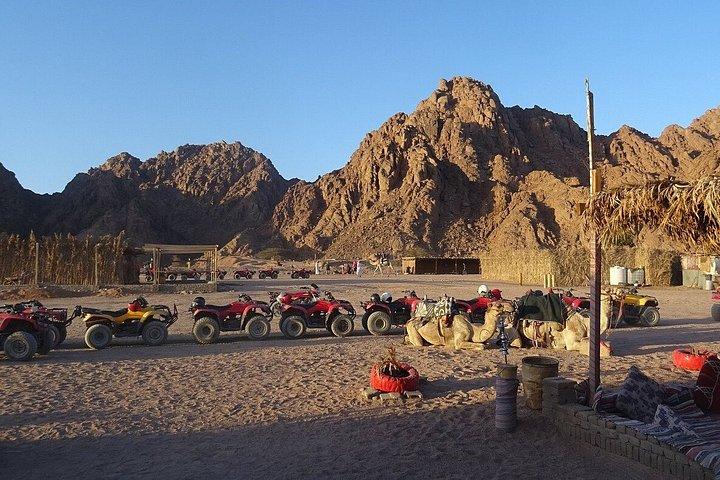 シャルム・エル・シェイクのシナイ砂漠でATVクワッドまたはバギーサファリ旅行