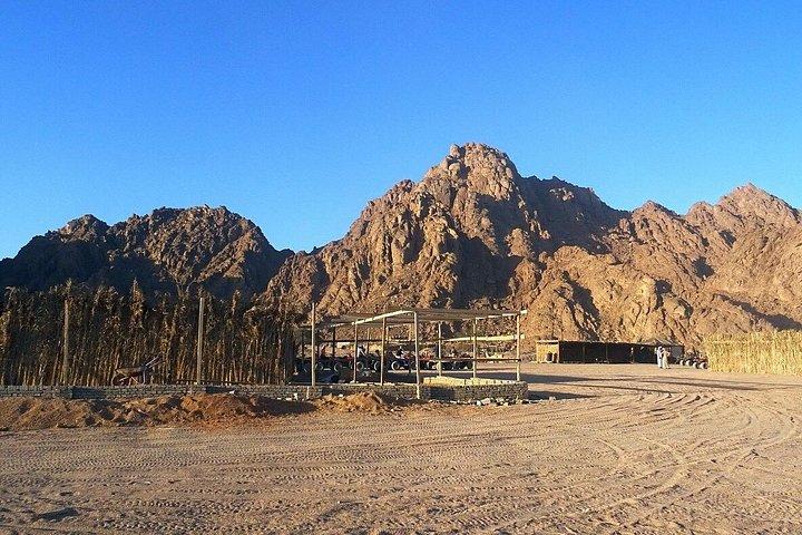 シャルム・エル・シェイクのシナイ砂漠でATVクワッドまたはバギーサファリ旅行