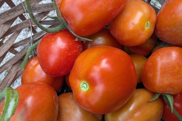 本格家庭料理教室 + ワインテイスティング