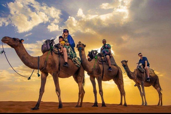 Marrakech : Kamelentocht en zonsondergang & dinershow in Agafay Desert