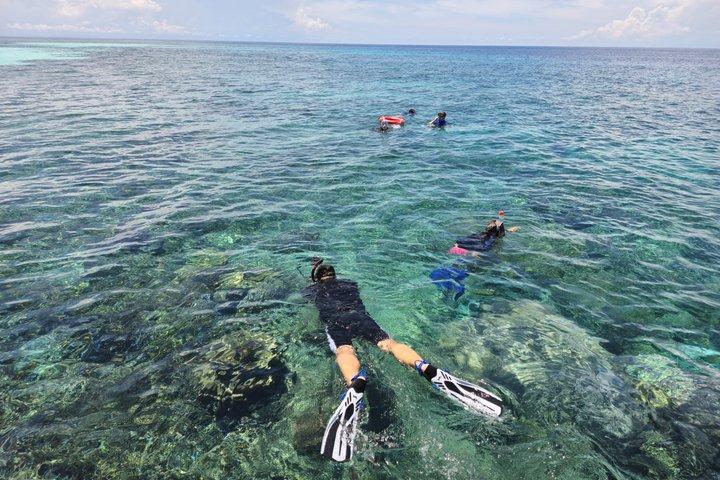 Snorkeling Day Trip Semporna : 3 locais