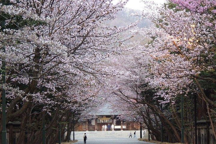 神威岬と白い恋人公園を巡る北海道日帰りツアー