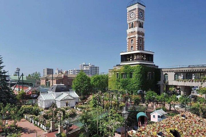 神威岬と白い恋人公園を巡る北海道日帰りツアー