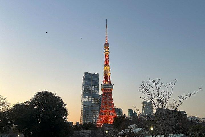 Tokyo Top Highlights 3h Guided E-Bike Tour
