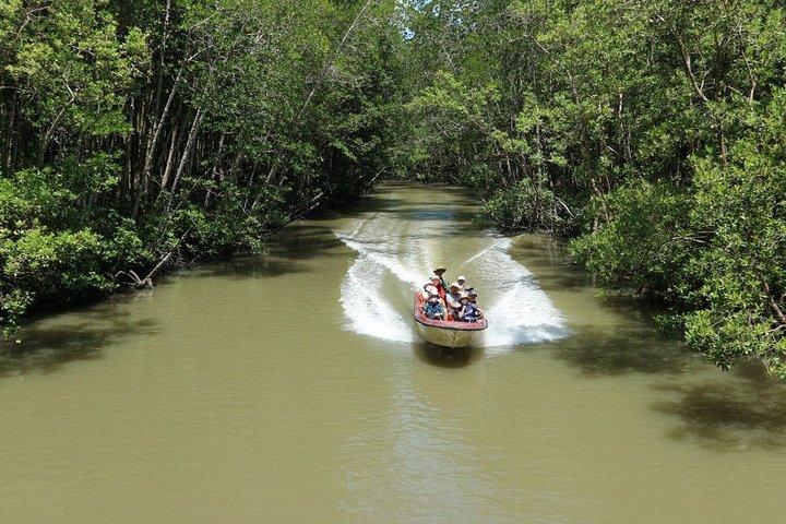 Excursão para grupos pequenos para Can Gio Vam Sat Mangrove Forest
