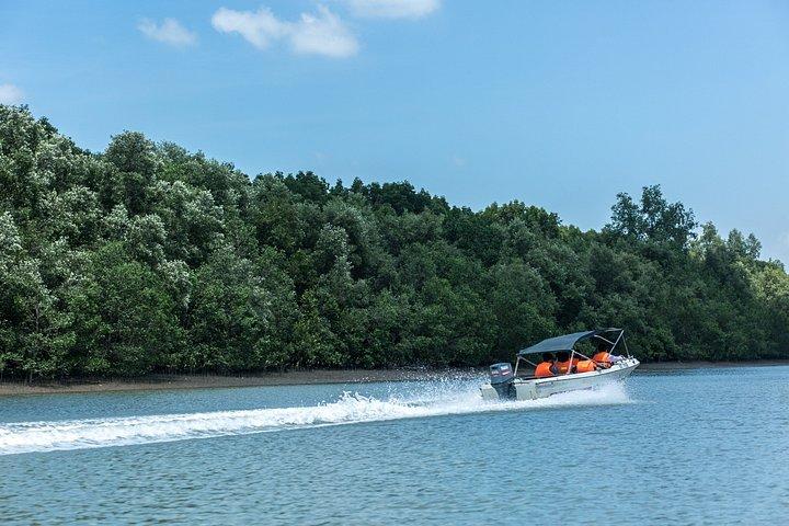 Small-Group Tour to Can Gio Vam Sat Mangrove Forest
