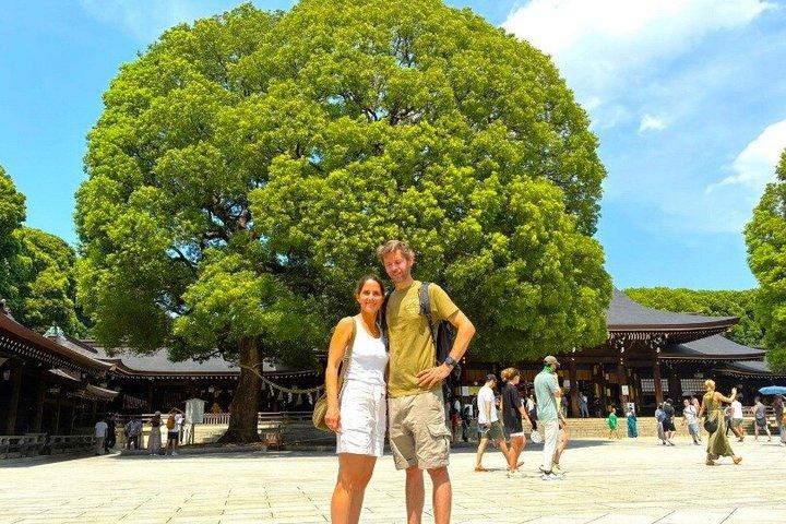 Tokyo Private Day Tour – Designed for First-Time Visitors