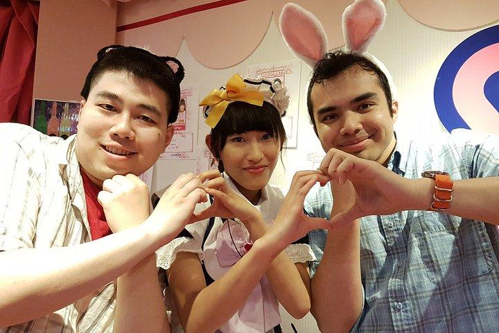 秋葉原Insiderプライベートアニメ＆メイドカフェツアー