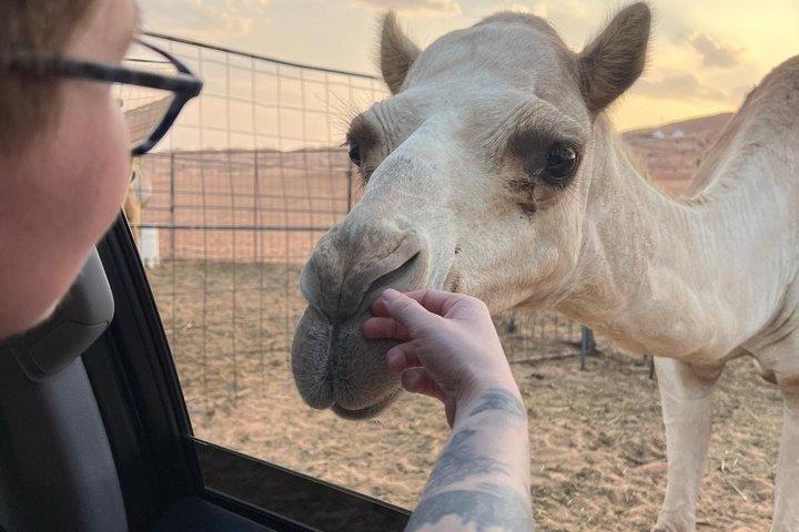 マスカットシティツアーと砂漠の夕日-終日