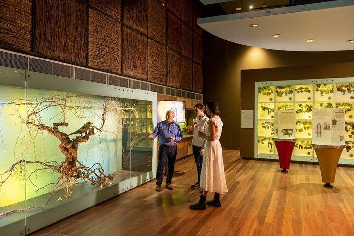 Hosted Tour & Tasting in Adelaide