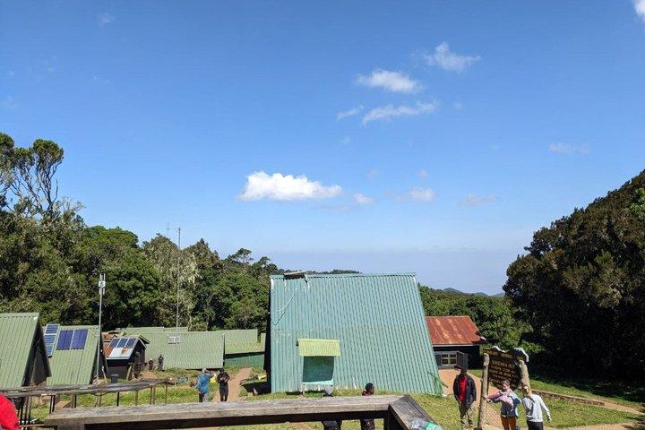 5 - Día de subida al Monte Kilimanjaro a través de la Ruta Marangu