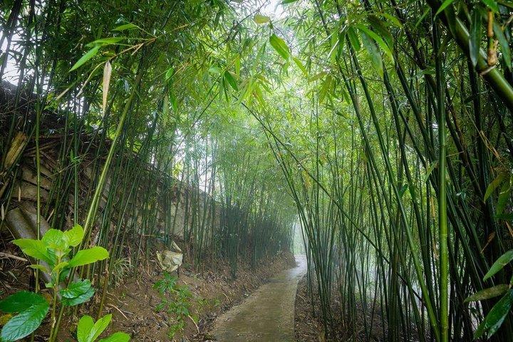 Sapa 3 Day Trekking Tour e Ta Van Village Soggiorno locale