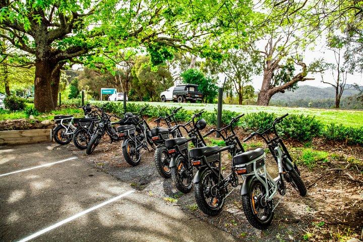 Healesville e-Ride, Bar Hop and Dinner eXperience