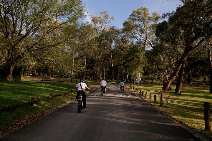 Healesville e-Ride, Bar Hop and Dinner eXperience