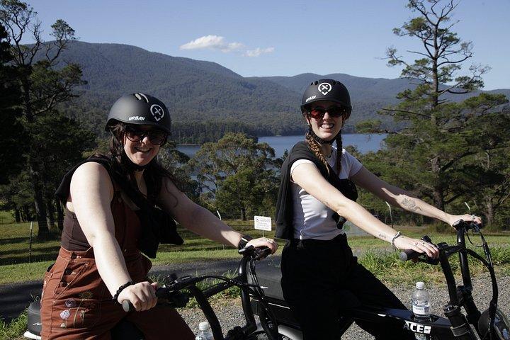 Healesville e-Ride, Bar Hop and Dinner eXperience