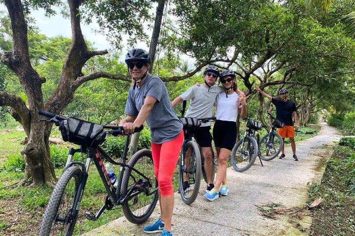 Excursão de um dia de Ho Chi Minh City a Cai Be Mekong Delta