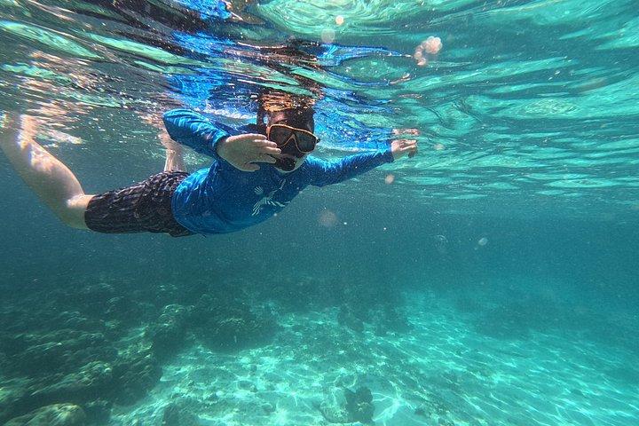 Phi Phi Khai Islands Snorkeling By Premium Speedboat From Phuket
