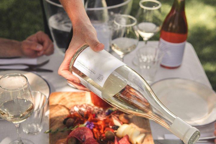 Vignoble Premium & Dégustation