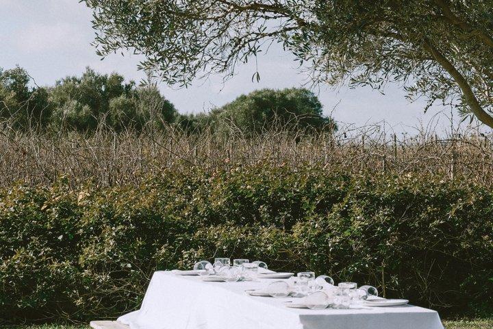 Weinurlaub in Portugal erleben