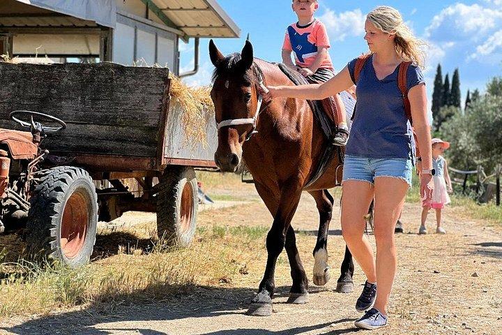 乗馬、訪問S.ジミニャーノ、ランチワイン試飲＆はるかに多く