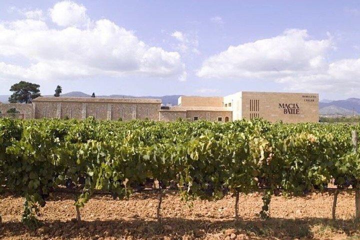 Tour di Valldemossa e Maiorca per piccoli gruppi