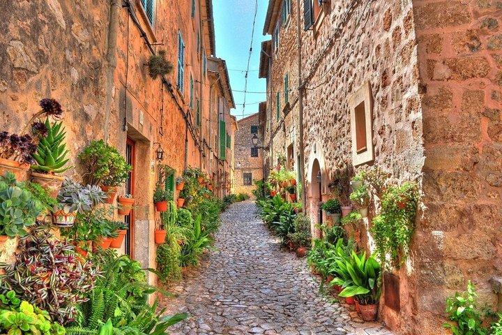 Tour di Valldemossa e Maiorca per piccoli gruppi