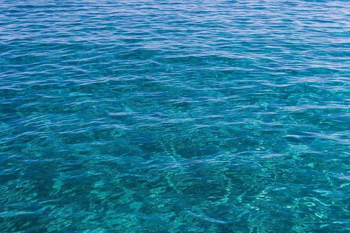 ローマ発ポンツァ島日帰りツアー（ボートツアー水泳とランチ付き）