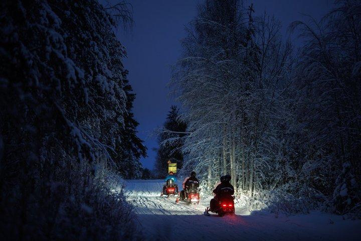 Thrill of Snowmobiling for Adults Only