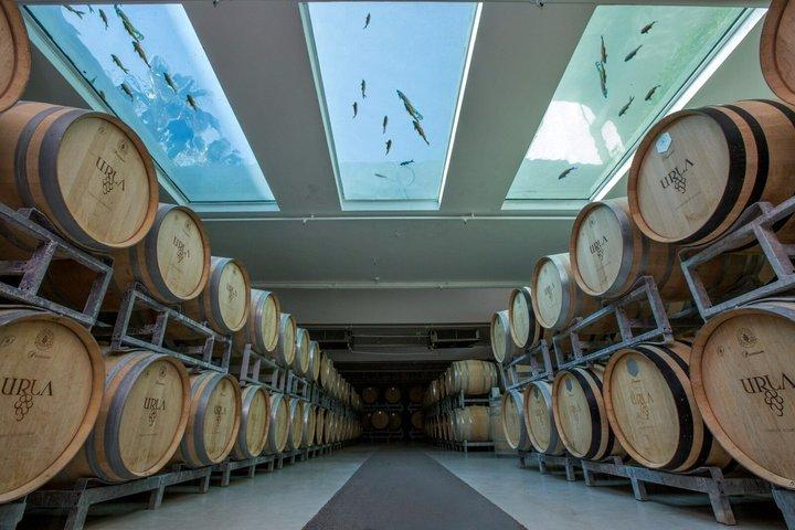 ウルラワイン＆オリーブオイル試飲ツアー－イズミル発プライベート日帰り旅行