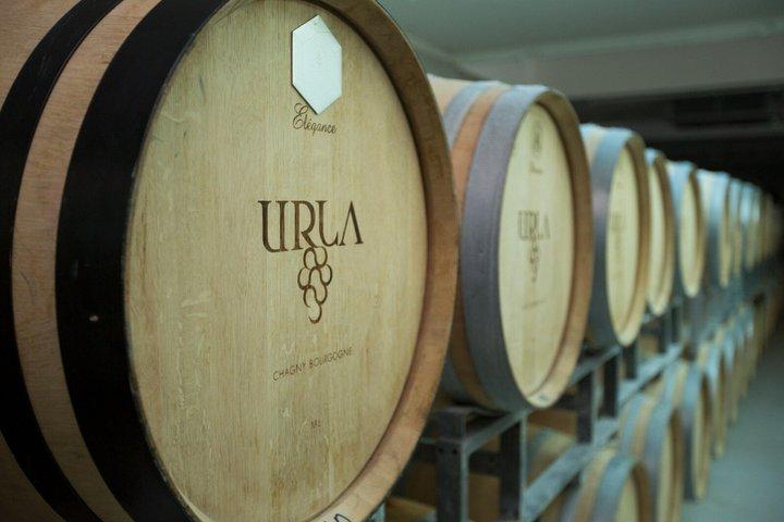 ウルラワイン&オリーブオイル試飲ツアー-イズミル発プライベート日帰り旅行