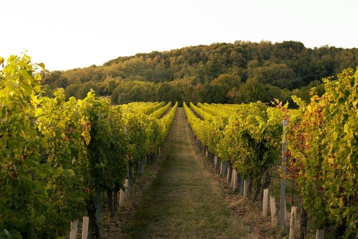 Kakheti Wine Cave Tasting & Sighnaghi Privat tur fra Tbilisi