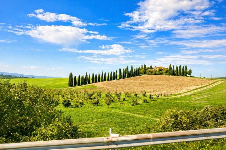 Siena: Val d’Orcia Wine Tour com almoço e Brunello