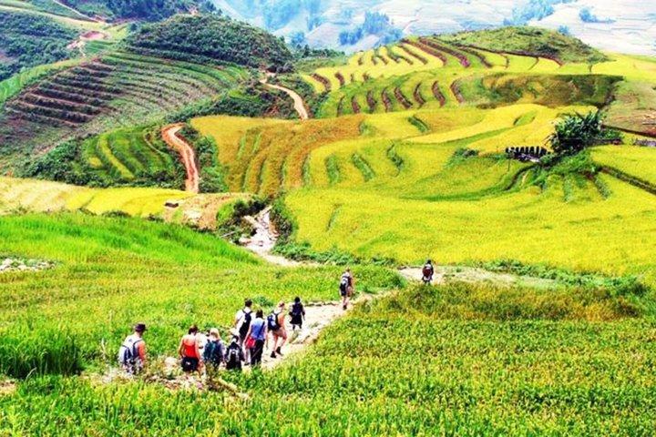 Sapa Rice Terrace Trek och traditionell Hmong Batik upplevelse