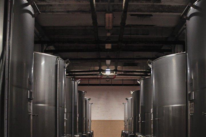 Tenute Girolamo: Wine Tour VIP