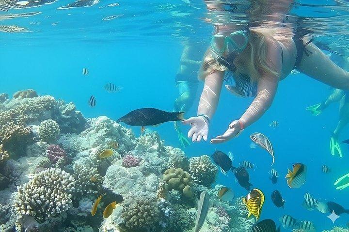Halb-U-Boot , Schnorcheln & Parasailing Abenteuer – Hurghada