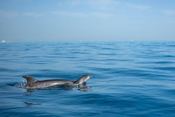 Halb-U-Boot , Schnorcheln & Parasailing Abenteuer – Hurghada