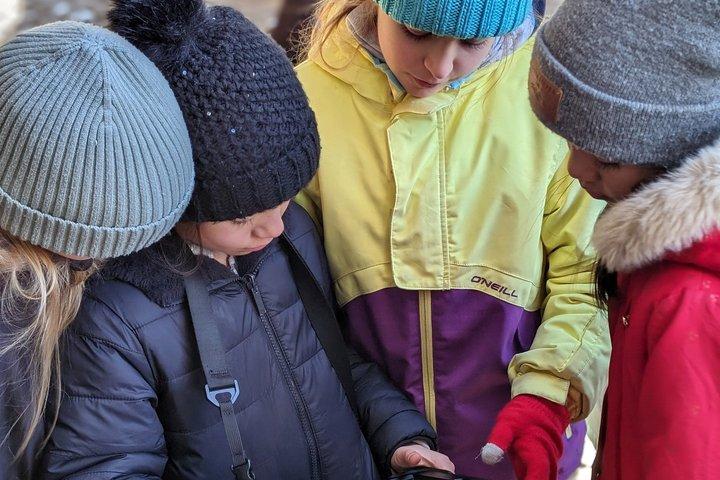 Escape Room all'aperto "Operazione Mindfall"