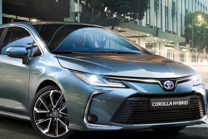 車で行くボカ湾プライベートガイドツアーヘルツェグ・ノヴィ・ペラストとコトル