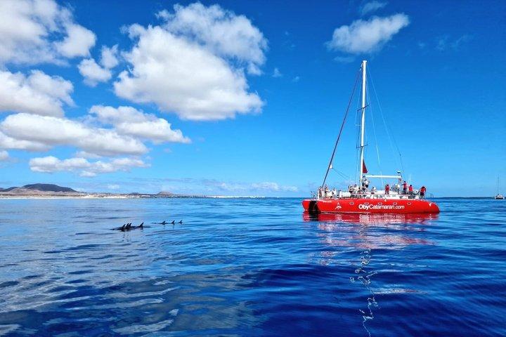 Tour Catamaran Freebird Isla de Lobos