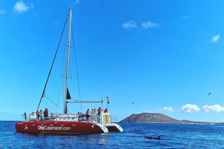 Tour Catamaran Freebird Isla de Lobos