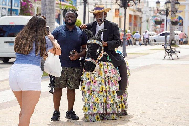 Puerto Plata:Panoramic Tours, Cultural, Local Lunch