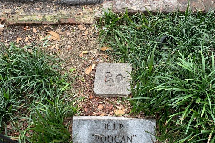 Charleston's Ultimate 3 Self Guided Walking Tours Bundle